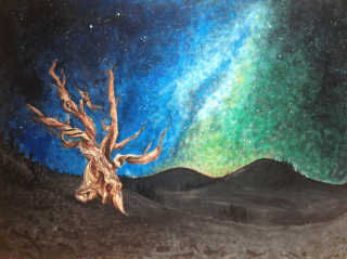 painting of old tree with galaxy sky above in acrylic