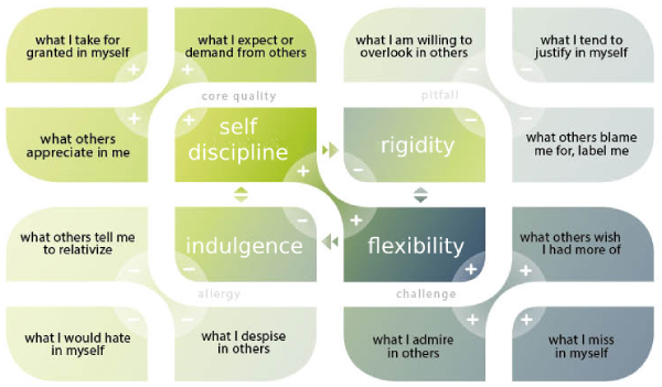 An example of a Core Quadrant showing the relationship between the 4 elements of the Core Quality model