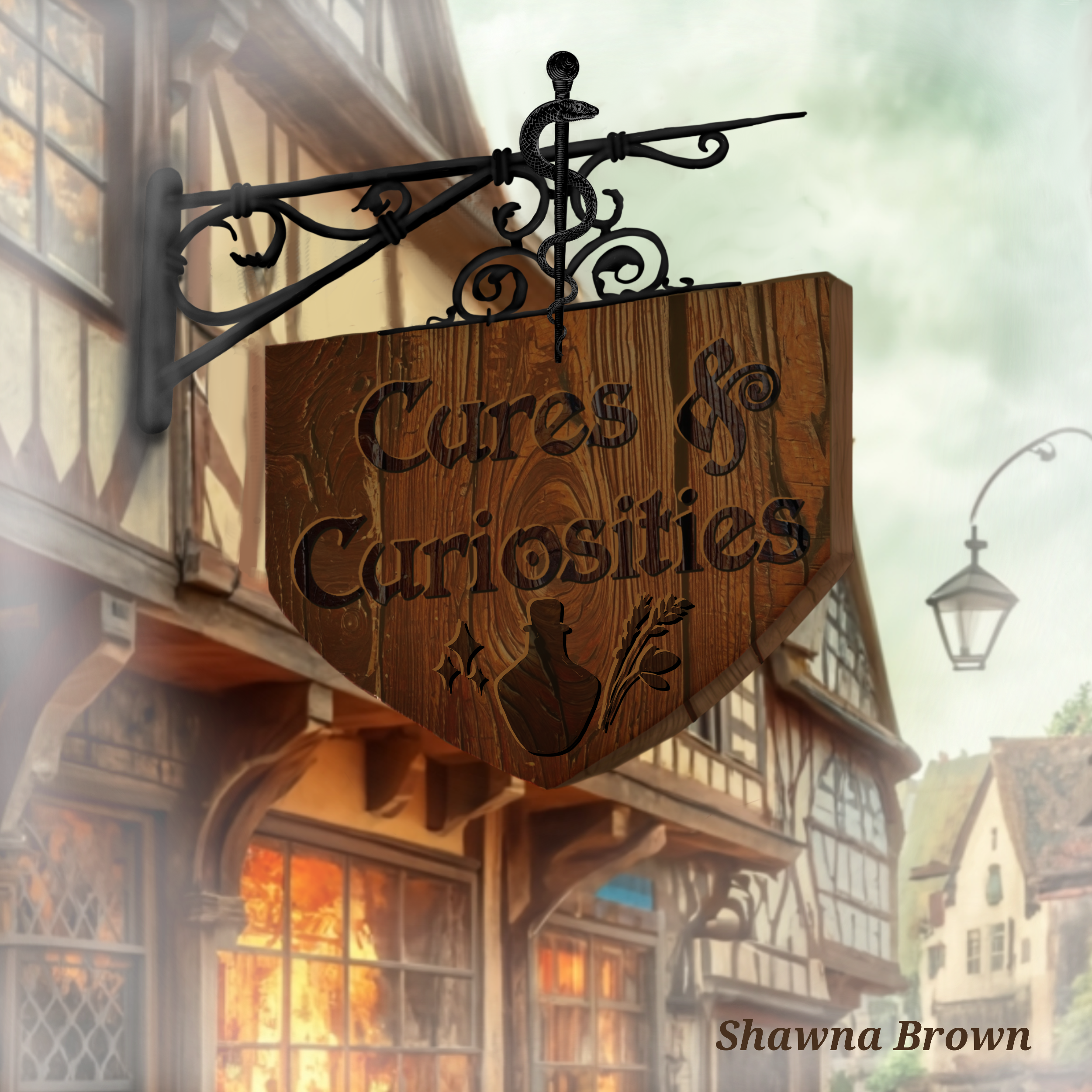 Cover Art for the board game Cures & Curiosities